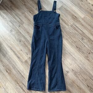 Pilcro and the Letterpress Adi Denim Flare Overalls Size 31 Anthropologie